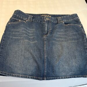 American Eagle Outfitters Classic Blue Mini Skirt